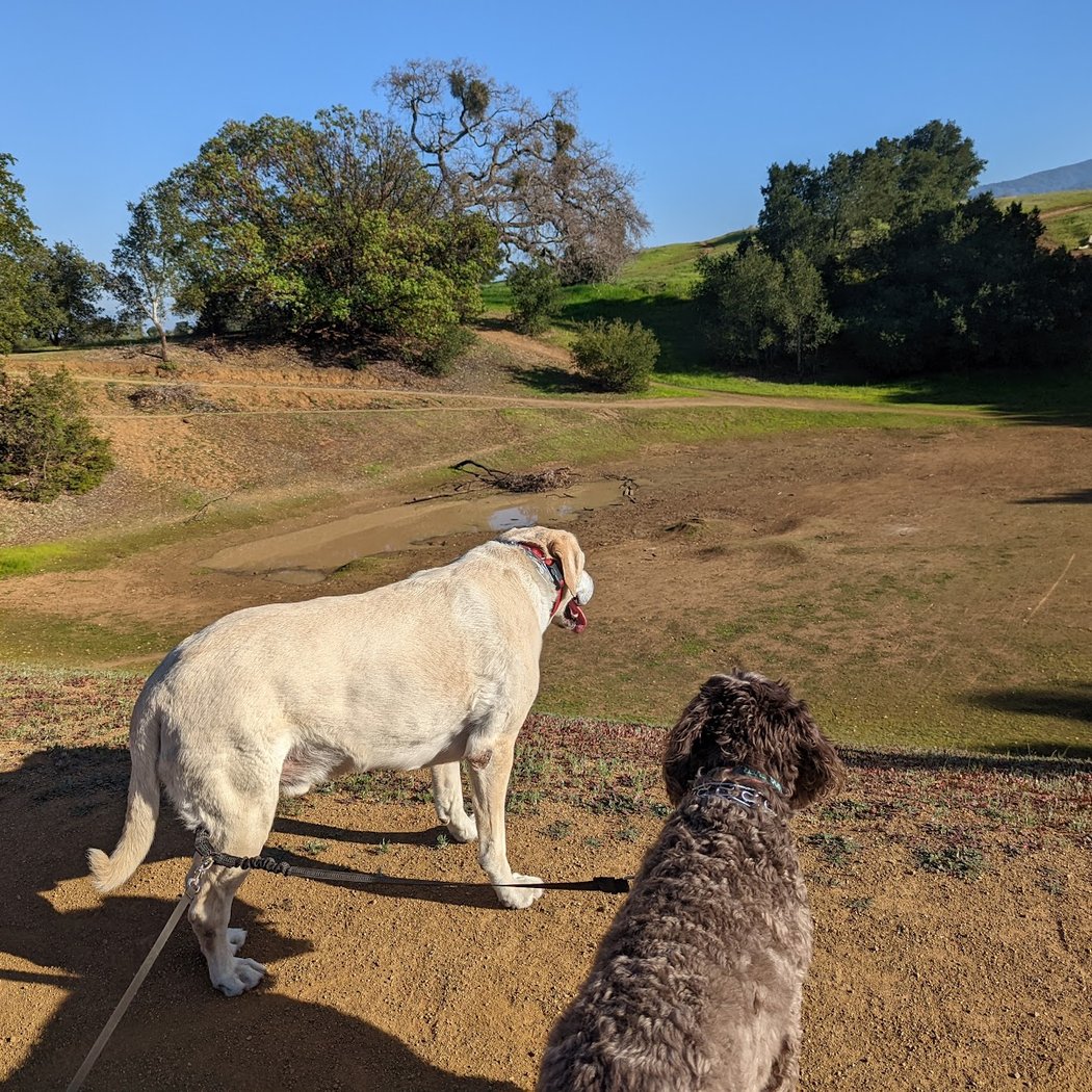 Upper Arastradero Bowl 3