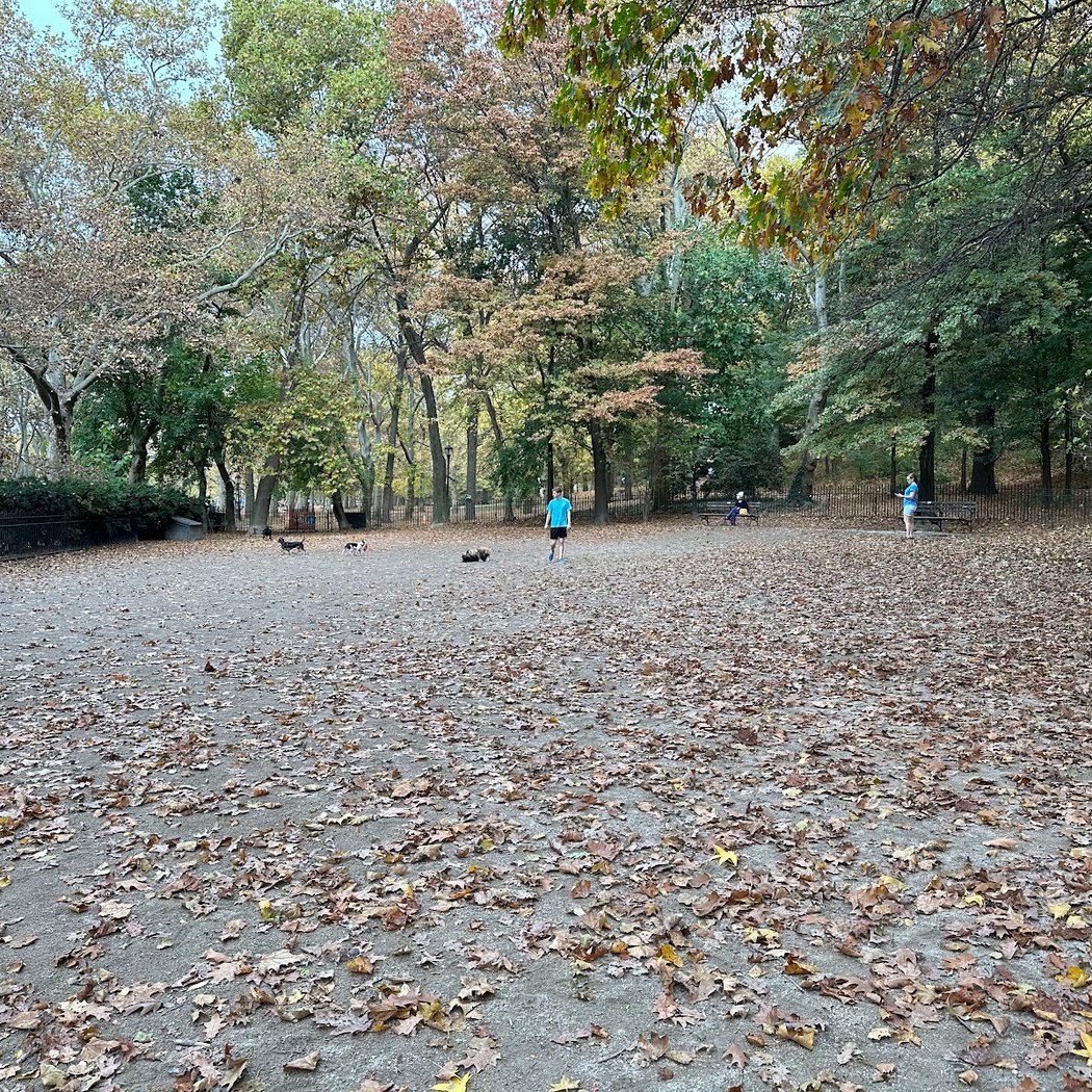 105th Street Dog Run 2