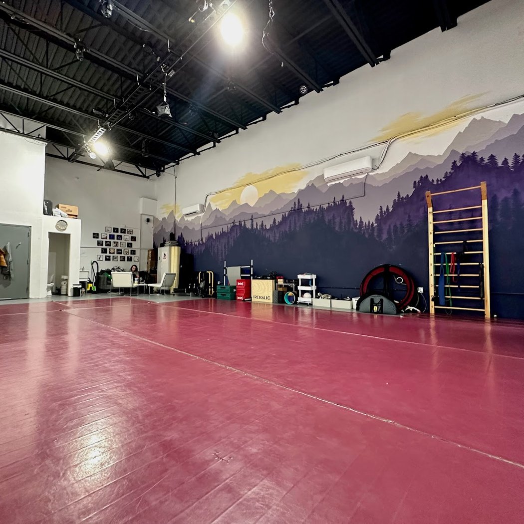 One Day One Circus 3