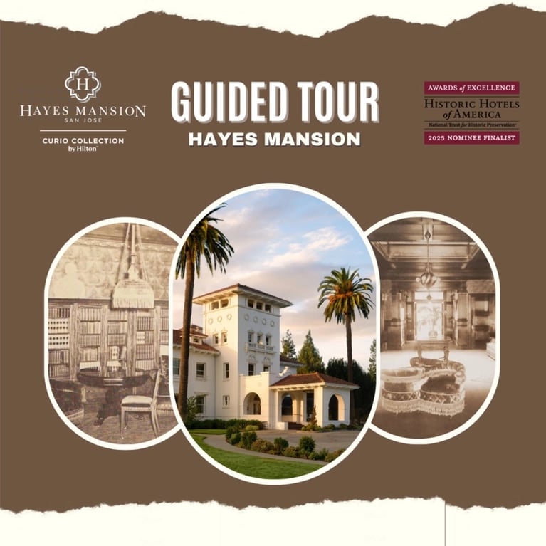 Hayes Mansion San Jose, Curio Collection by Hilton 1
