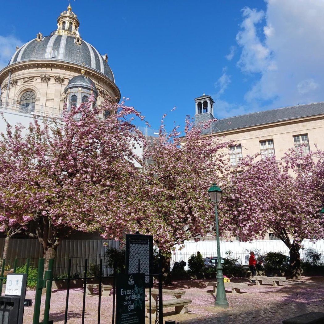 Paris Promenade 3