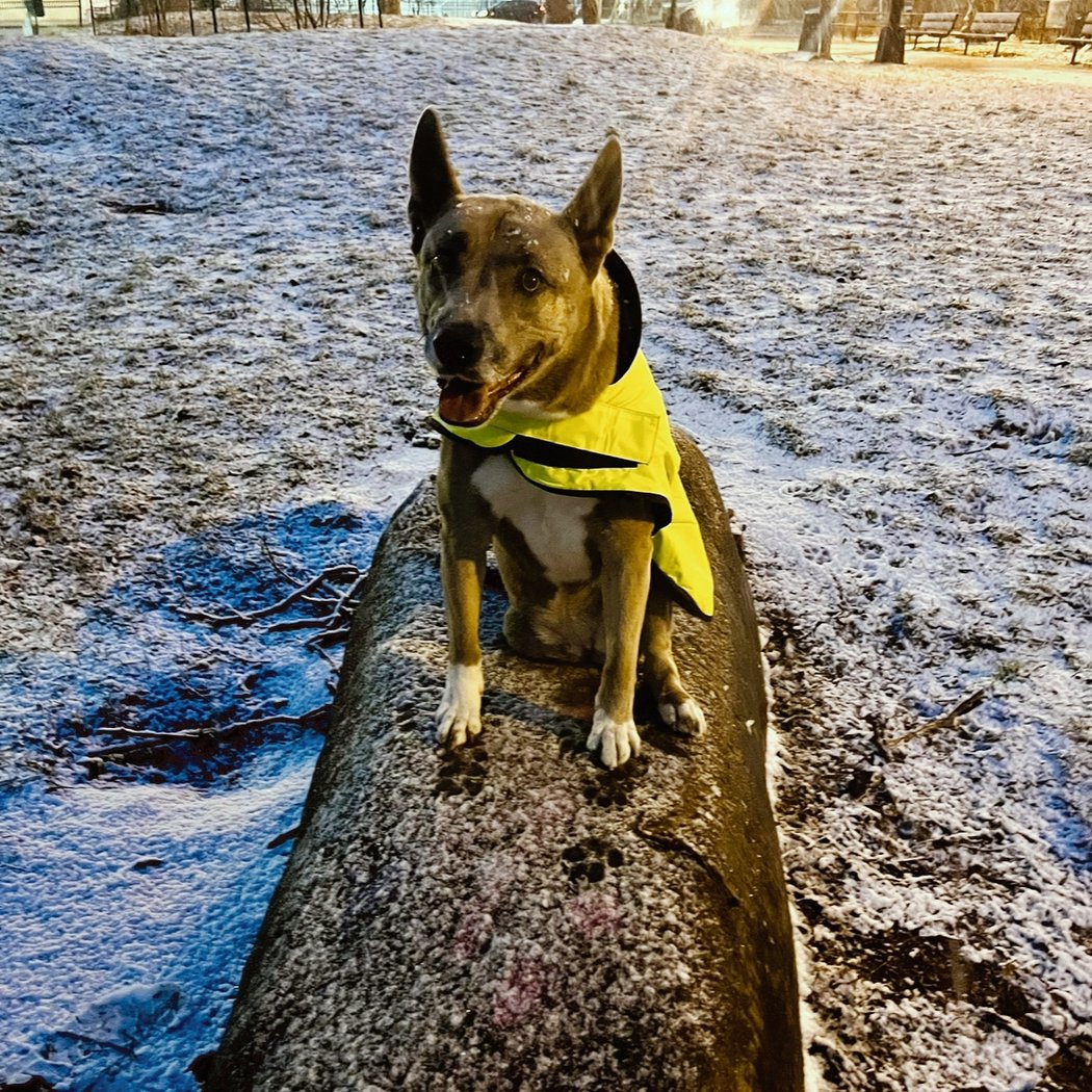 Ellie's Rock 1