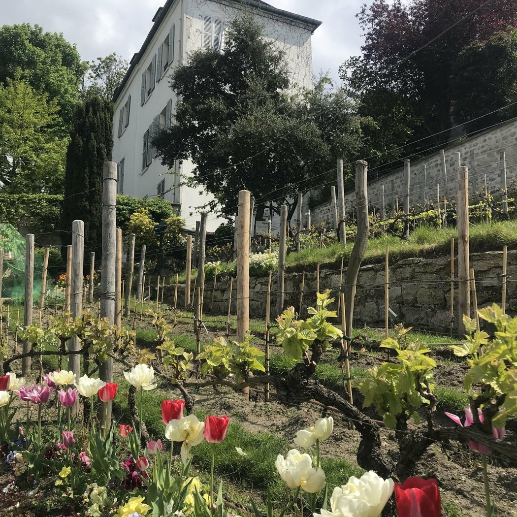 La Commanderie du Clos Montmartre 4