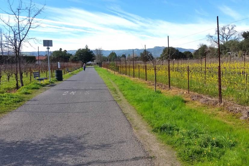 Sonoma City Trl 1