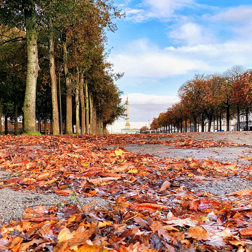 Résidence l'Automne 1