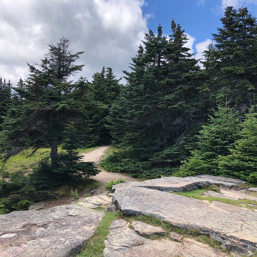 Slide Mountain 3