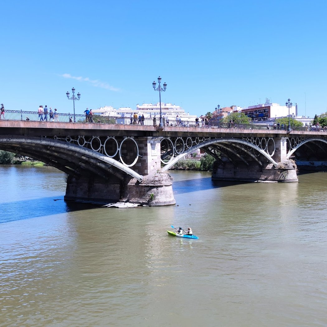 Velá de Santiago y Santa Ana 2