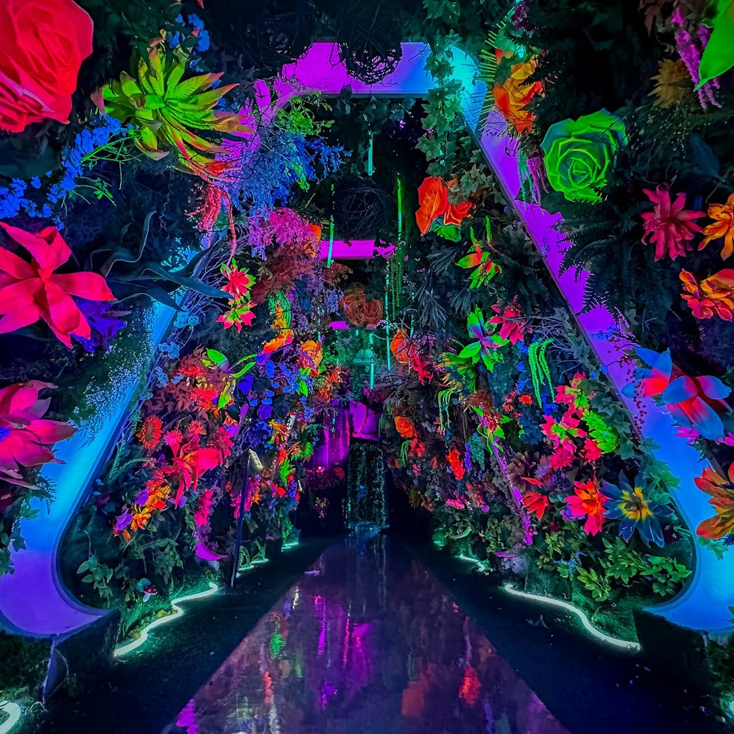 Immersive Art Adventure