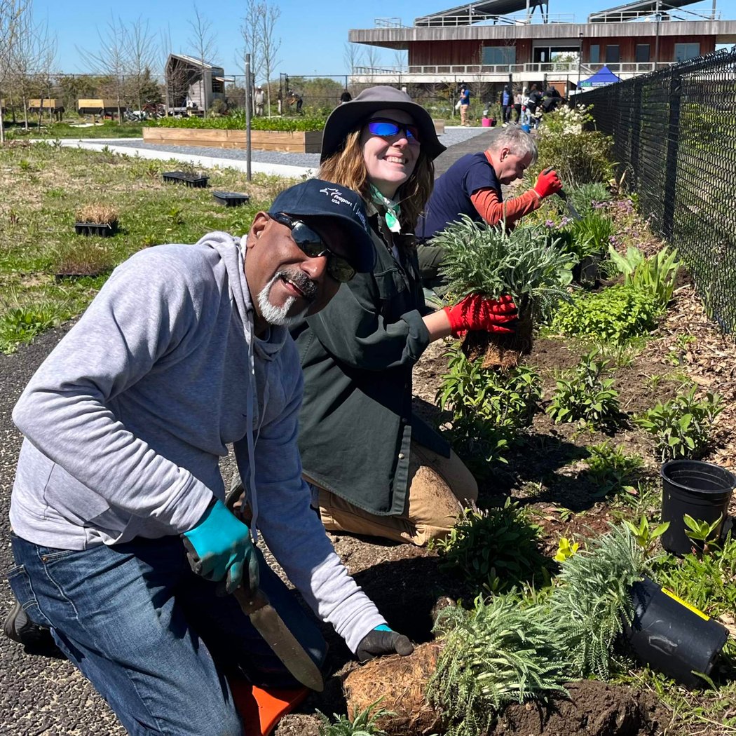 Native Plant Nursery Volunteer Shift