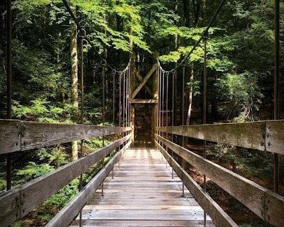 Black Creek Preserve 1