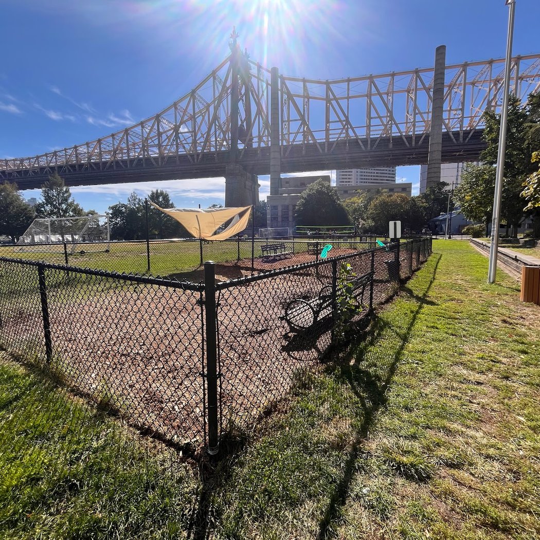 Southtown Dog Run 1