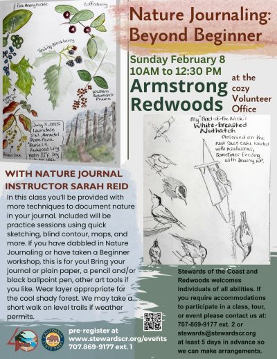 Nature Journaling Beyond Beginner 1