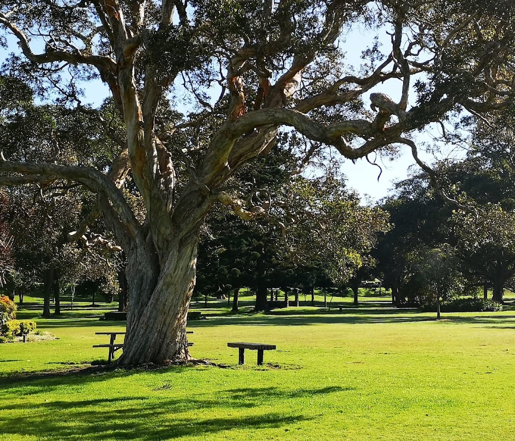 Centennial Parklands 3