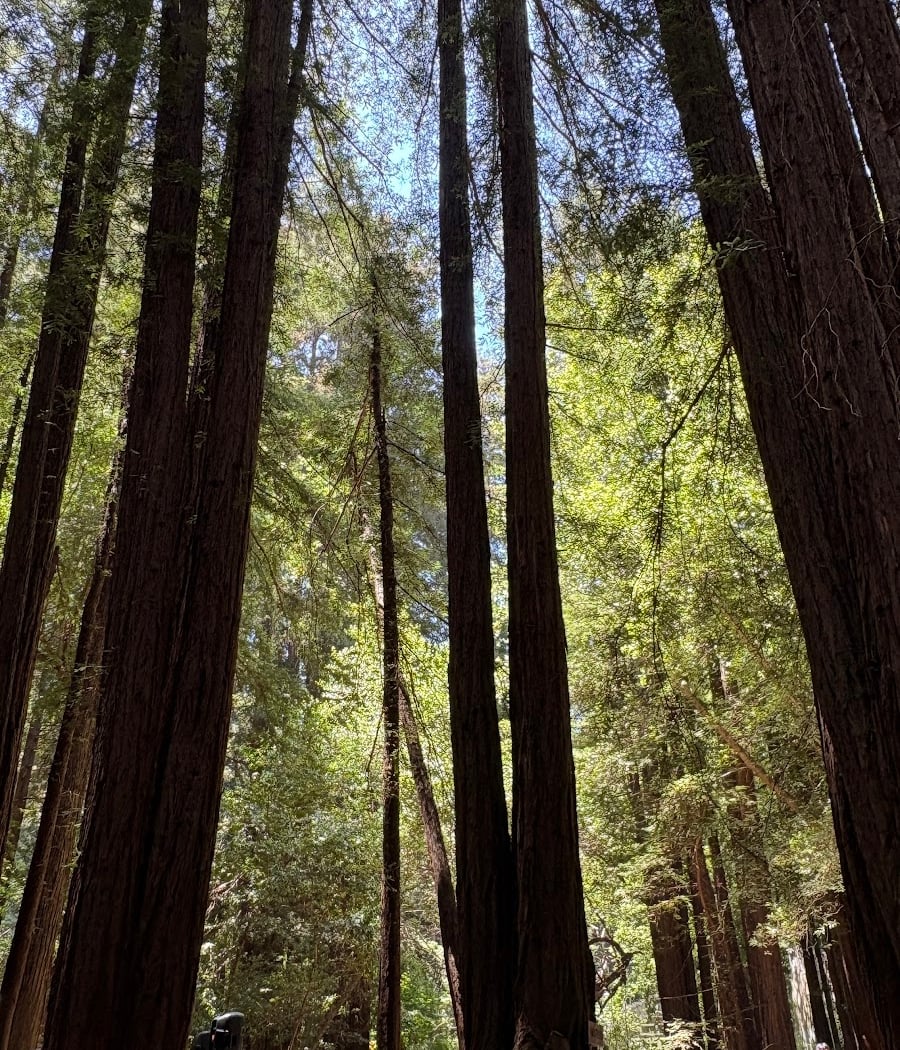 Family-Friendly Six-Mile Hike 2