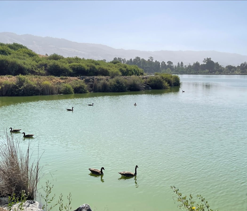 Lake Cunningham Native Garden 2