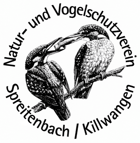 Naturspaziergang 1