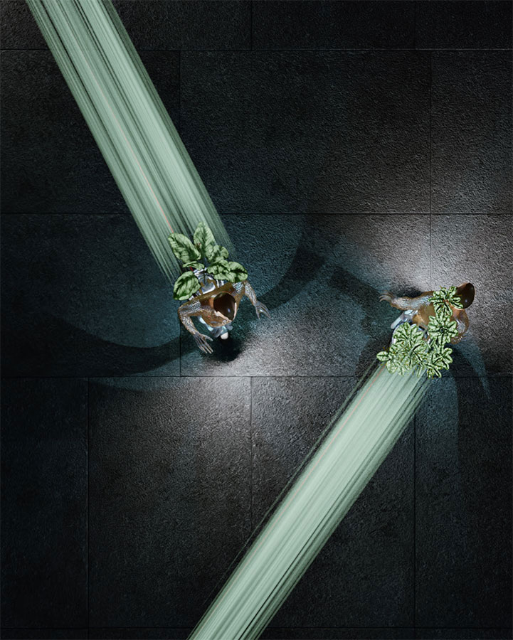 Exposition A l’écoute du vivant – Biomimétisme en arts et sciences 2
