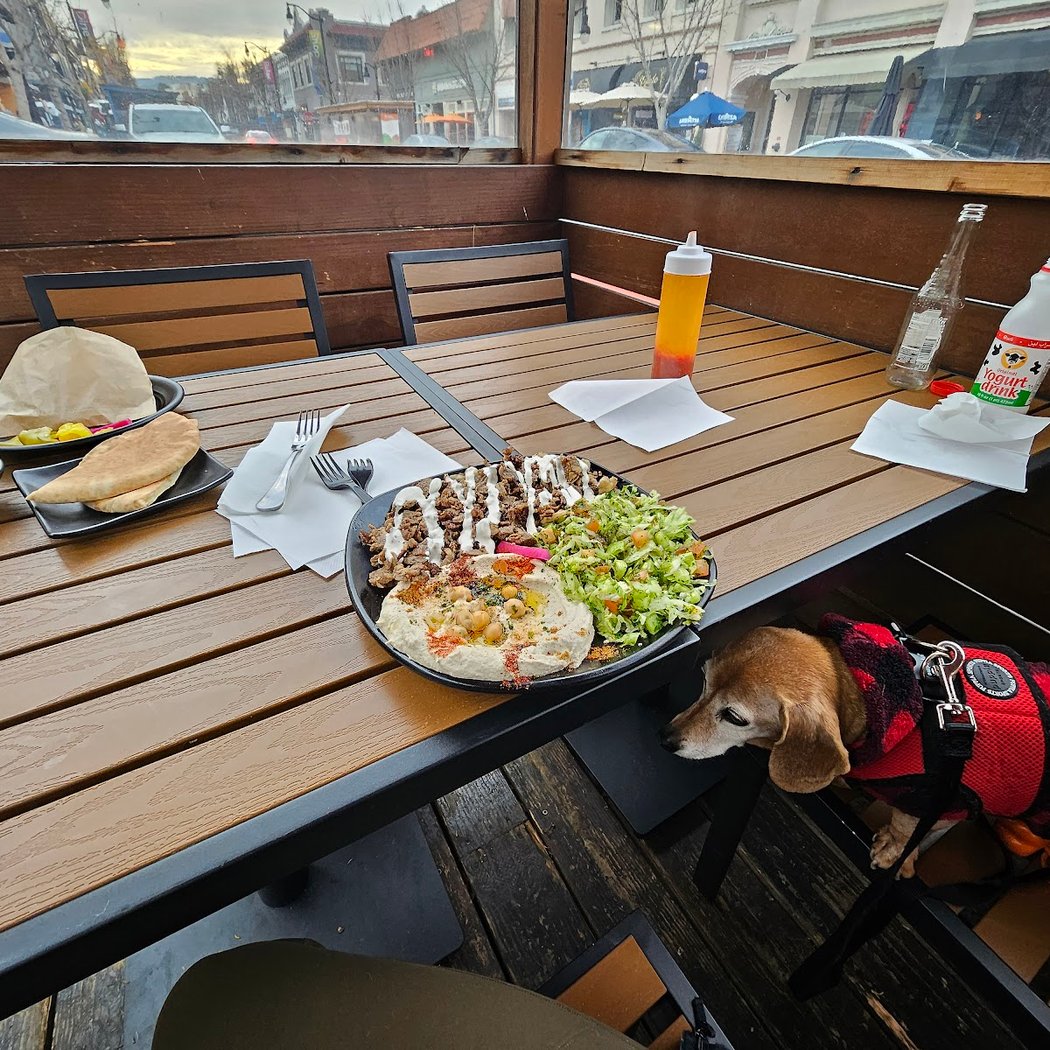 Lotus Falafel and Shawerma 2