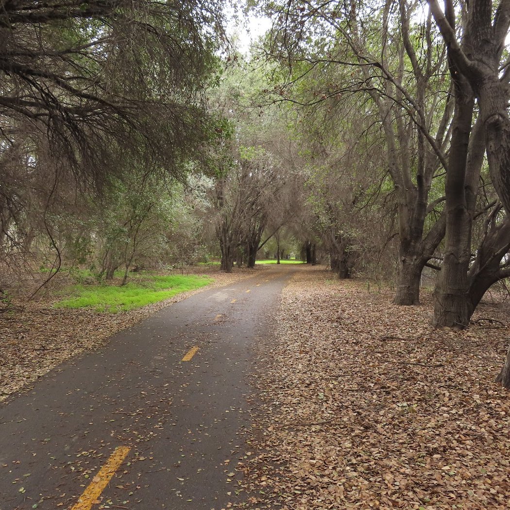 Coyote Creek Parkway North 2