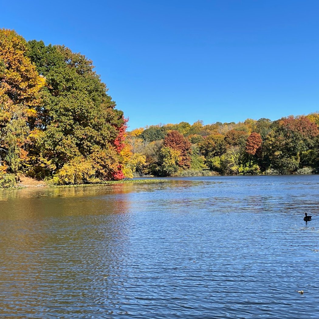 Beginner Ride to Tarrytown via the South County Trailway 3