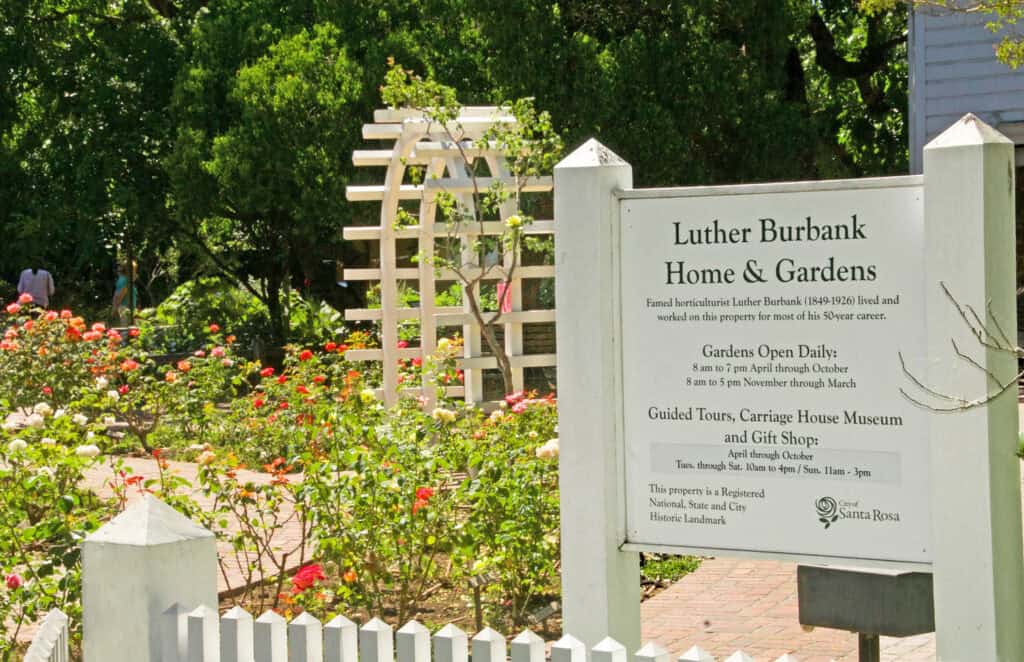 Luther Burbank Home & Gardens 3