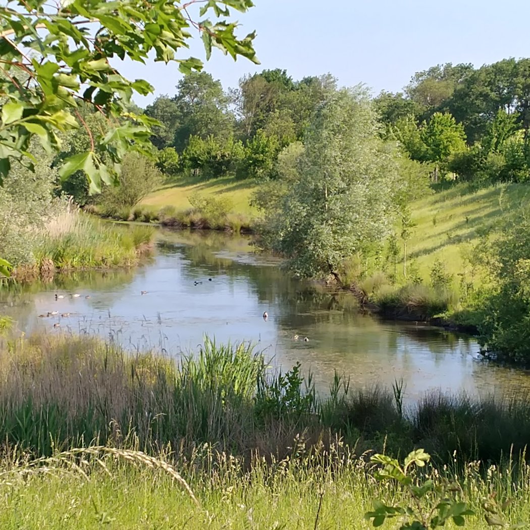 Espace naturel sensible du val de Choisille 4