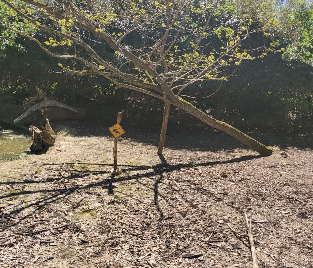 Chasse aux œufs de Pâques 2