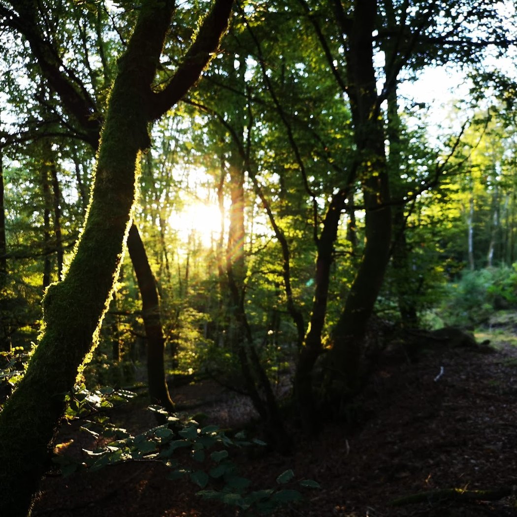 Morvan 5