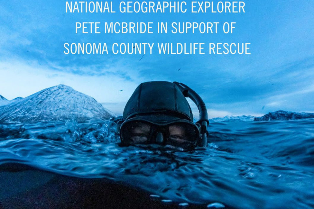 Witness to Water: An Evening with National Geographic Explorer Pete McBride 1