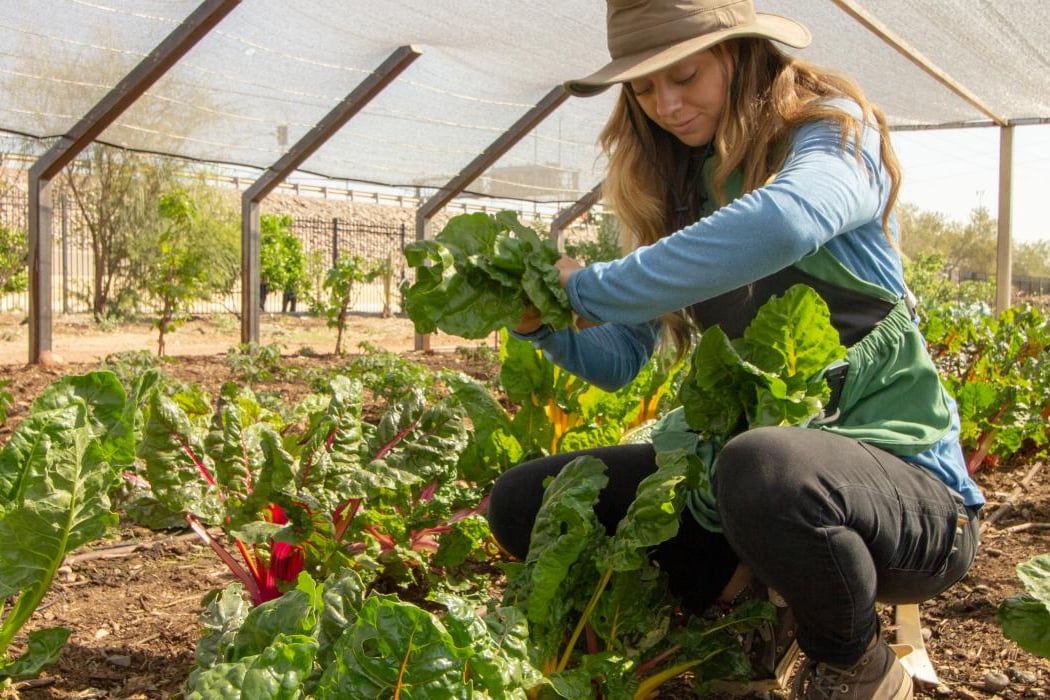 Garden Volunteers with St. Vincent de Paul 1