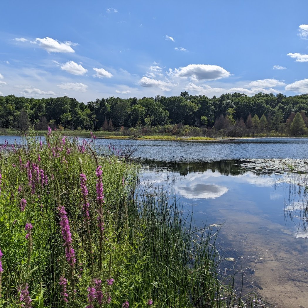 Brighton Recreation Area 1