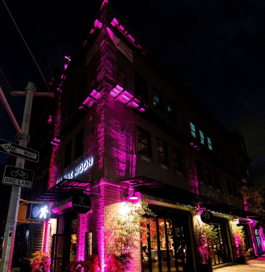 The Pink Moon 2