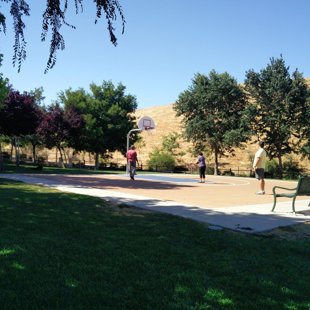 Limerick Park 3