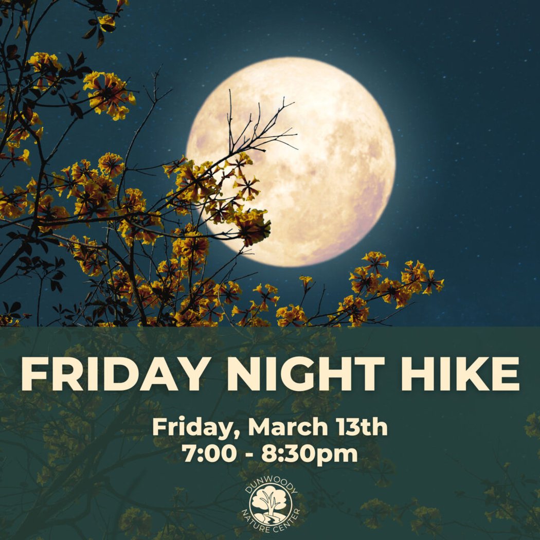 Friday Night Hike 2