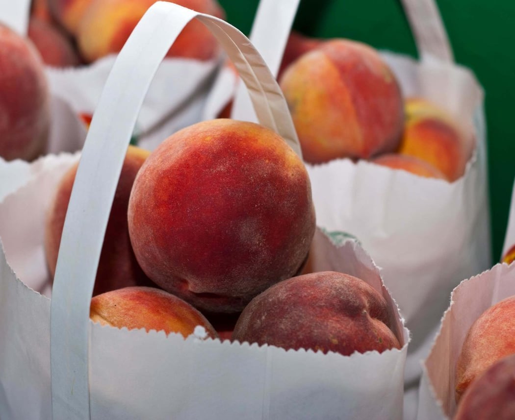 The Sebastopol Farmers' Market 3