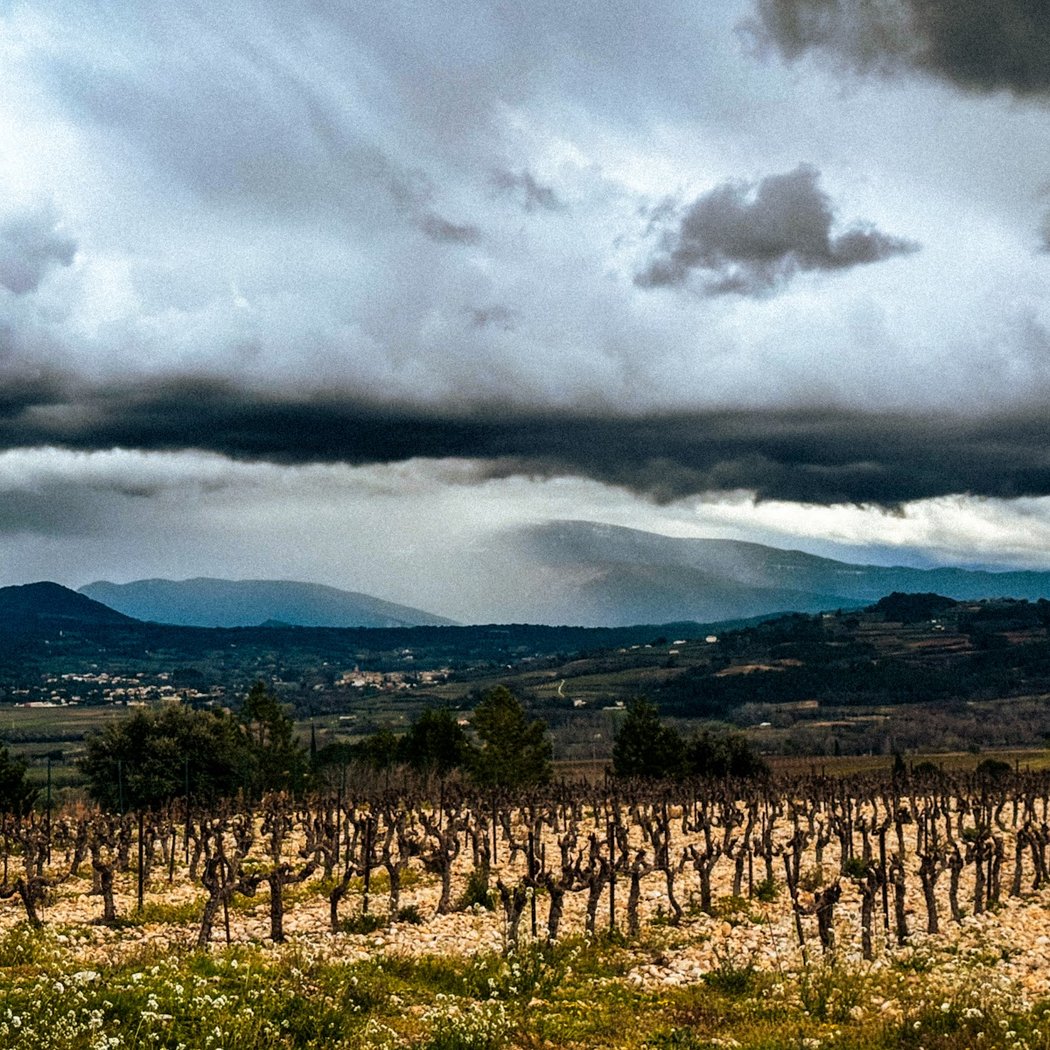 AOC Cru Vinsobres - Comité des Vignerons de Vinsobres 2
