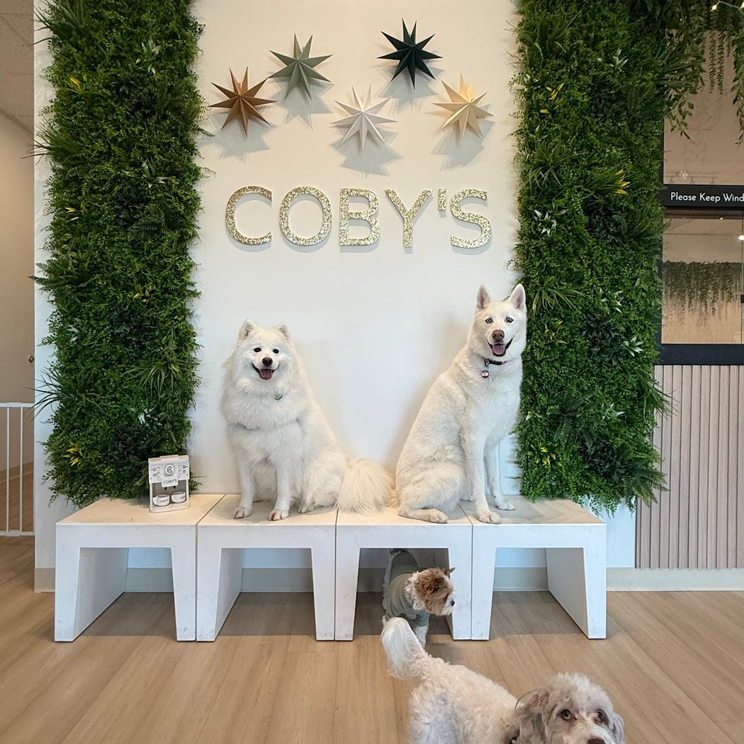 Pups & Palettes: Paint Your Pup for a Cause 1