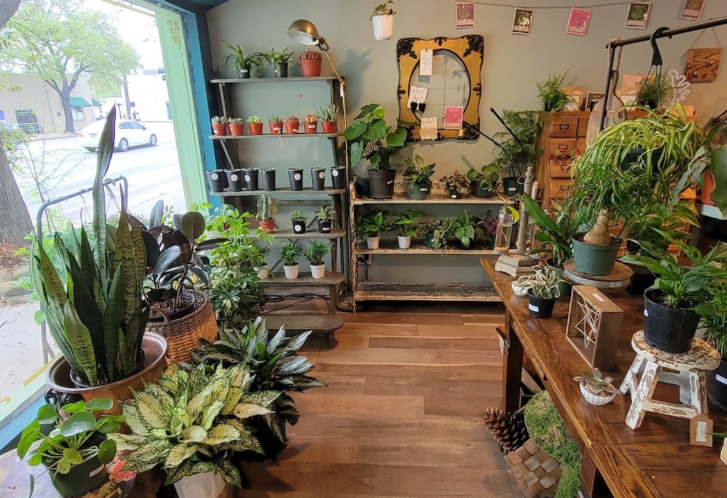TERRARIUM PLANT HOUSE 3