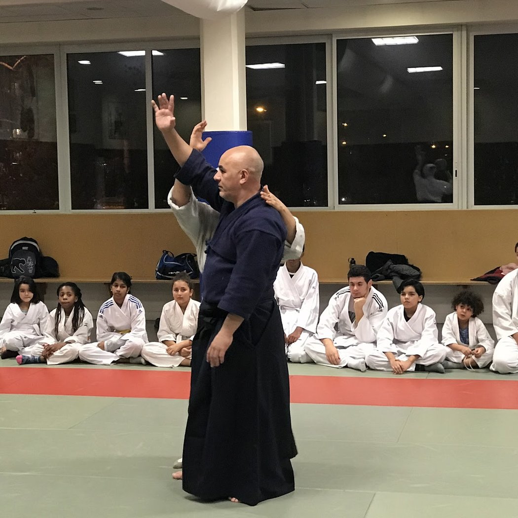 Aikido Stains 1