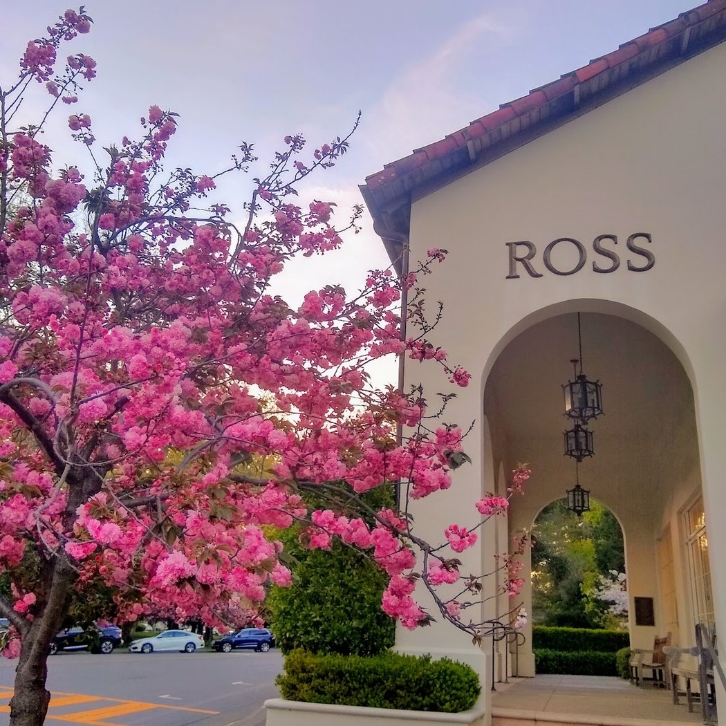 Ross 1