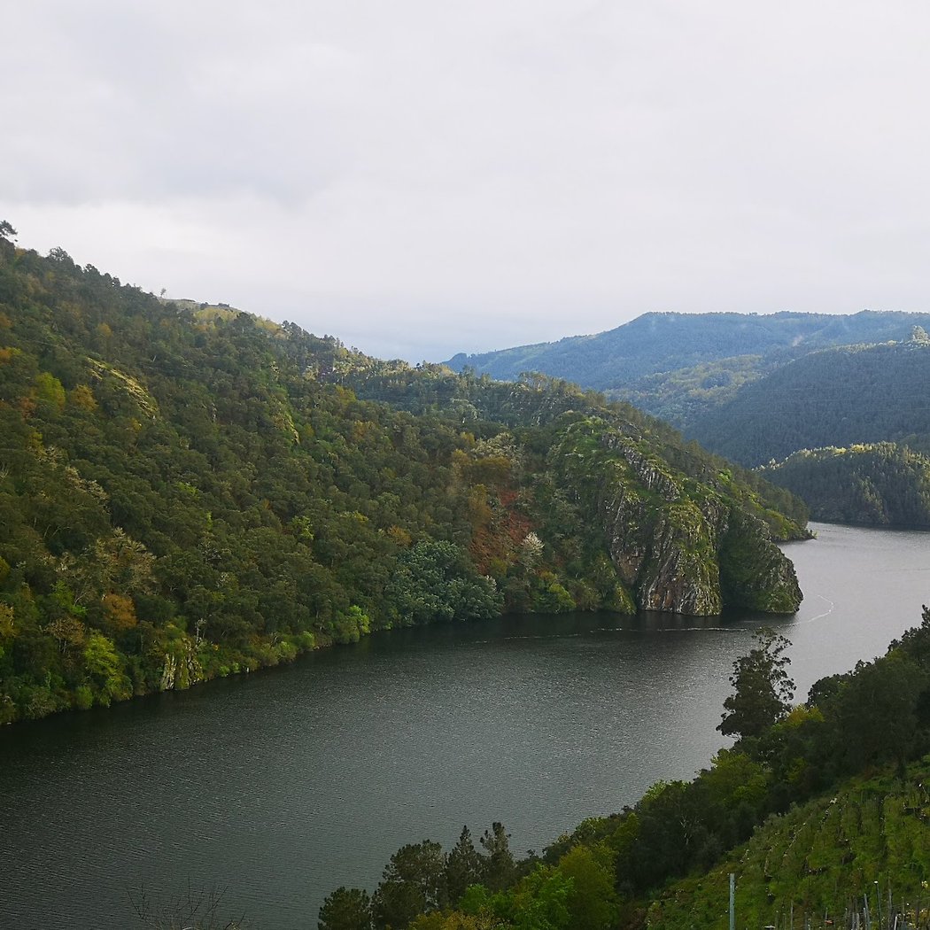 Ribeira Sacra Galicia 3