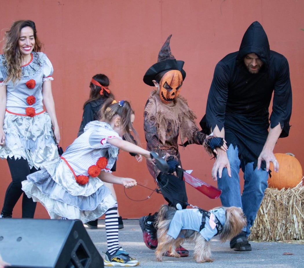 Spooky Paws Pet Parade 1