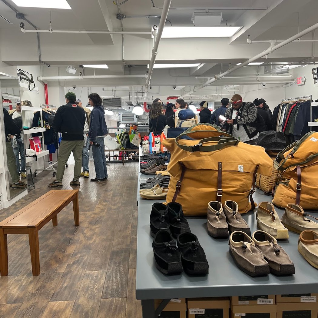 Nepenthes New York 4