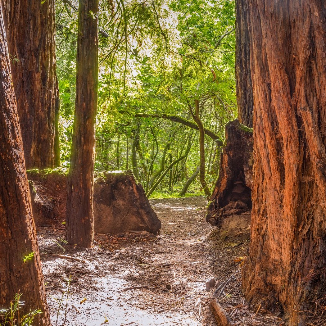 Dawn Falls Trailhead 1