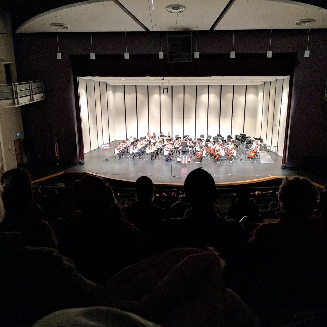 Chelsea HS Collage Concert 1