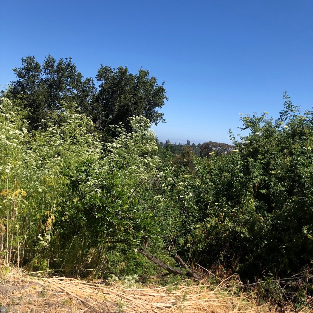 Bob Stutz Path 3