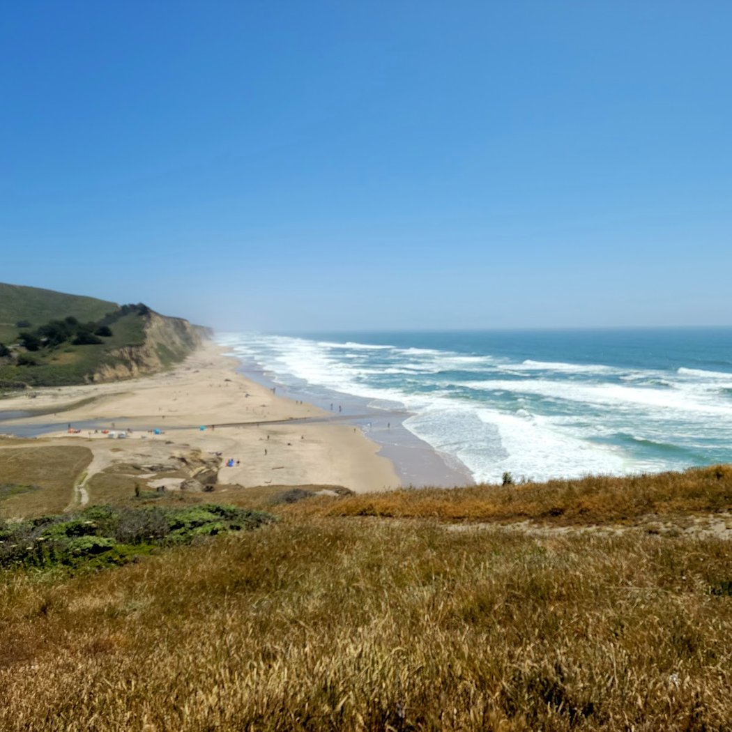 San Gregorio State Beach 2