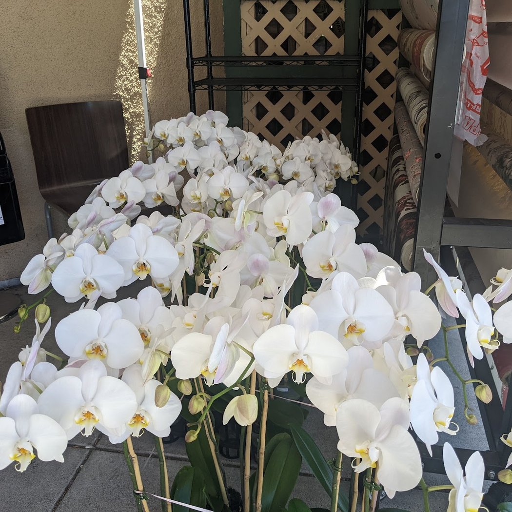 Floral & Gifts 99 1