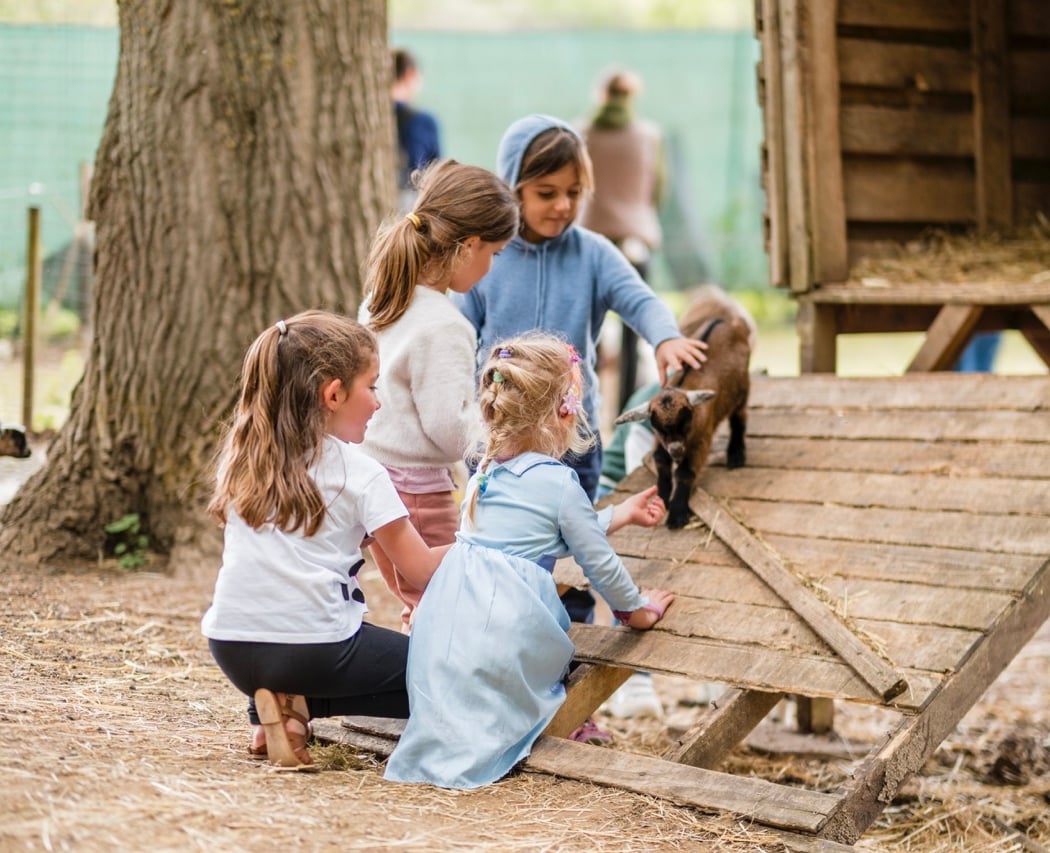 Une journée mémorable en famille à la ferme pédagogique MALOWE NATURE 1