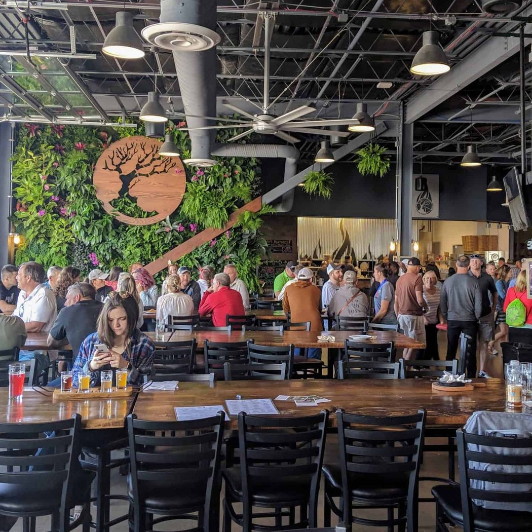 Taproom Trivia 2